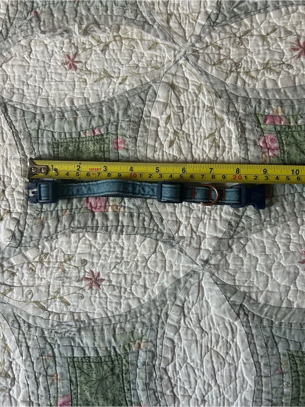 Adjustable Teal Dog Collar with Quick-Release Buckle